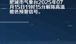 肥城头条最新爆料,揭秘重大事件背后真相！
